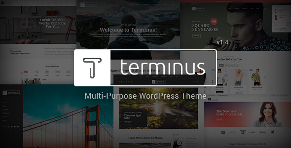 Terminus Multi Purpose Wordpress Theme V1.4.4