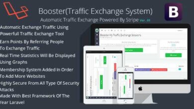 Booster Traffic Exchange System V6.0 Free Download