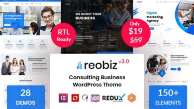 Reobiz Consulting Business Wordpress Theme V3.1 Free Download