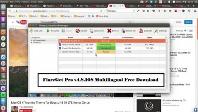 FlareGet Pro v4.8.108 Multilingual Free Download