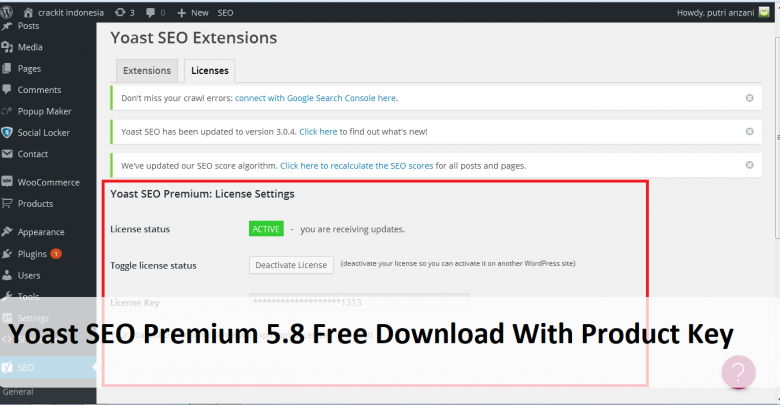 Yoast SEO Premium 5.8 Free Download With Product Key