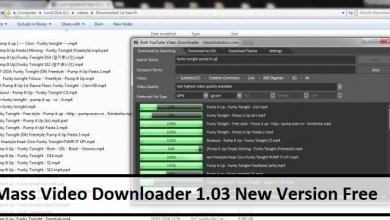 Mass Video Downloader 1.03 New Version Free Download