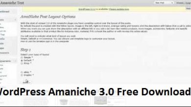 WordPress Amaniche 3.0 Free Download