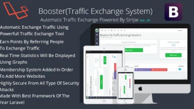 Booster Traffic Exchange System v6.0