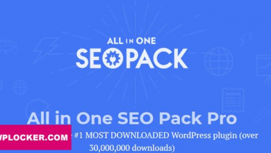 All In One Seo Pack Pro V3.1