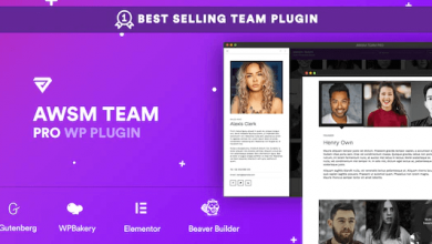The Team Pro V1.4.5 Team Showcase Wordpress Plugin