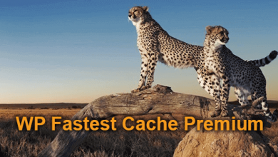 Wp Fastest Cache Premium V1.5.4