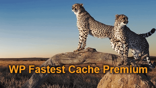 Wp Fastest Cache Premium V1.5.4