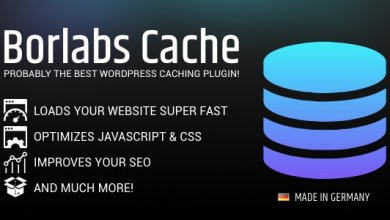 Borlabs Cache V1.5.2 Wordpress Caching Plugin