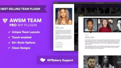 The Team Pro V1.6.0 Team Showcase Wordpress Plugin