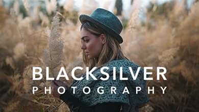 Blacksilver | Photography Theme for WordPress v8.4.1 Free Download